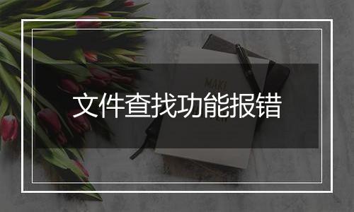 文件查找功能报错