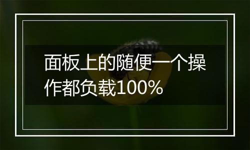 面板上的随便一个操作都负载100%