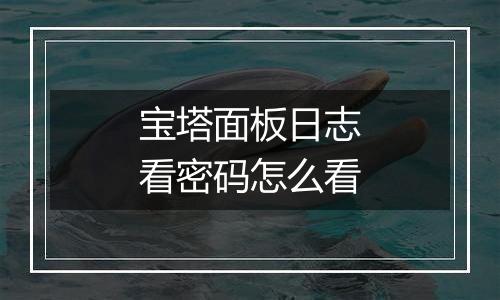 宝塔面板日志看密码怎么看