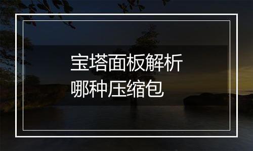 宝塔面板解析哪种压缩包