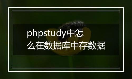 phpstudy中怎么在数据库中存数据