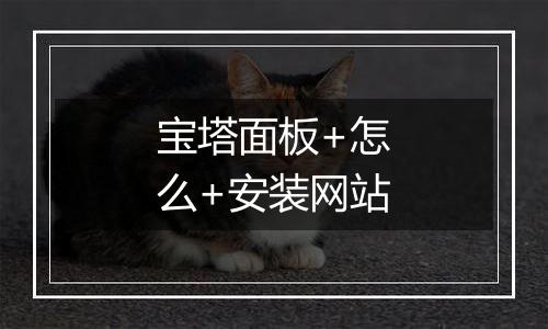 宝塔面板+怎么+安装网站