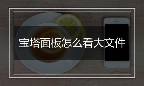 宝塔面板怎么看大文件