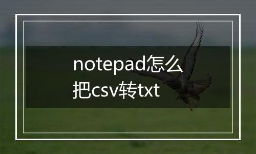 notepad怎么把csv转txt