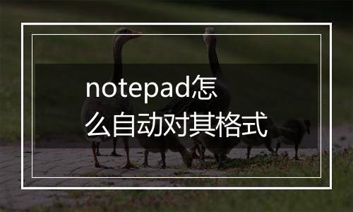 notepad怎么自动对其格式