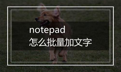 notepad怎么批量加文字