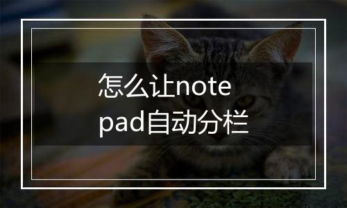 怎么让notepad自动分栏