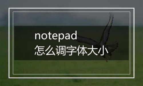 notepad怎么调字体大小
