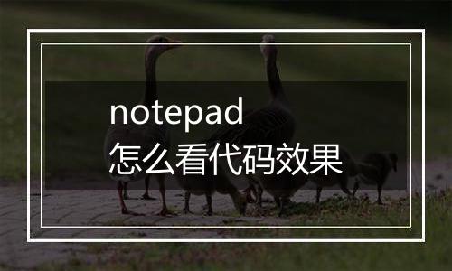notepad怎么看代码效果