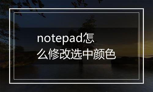 notepad怎么修改选中颜色