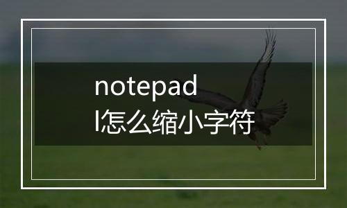 notepadl怎么缩小字符