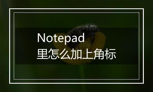 Notepad里怎么加上角标
