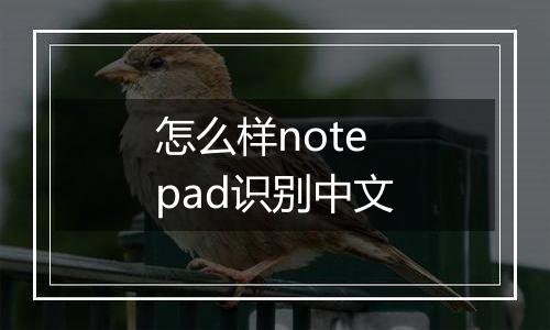 怎么样notepad识别中文