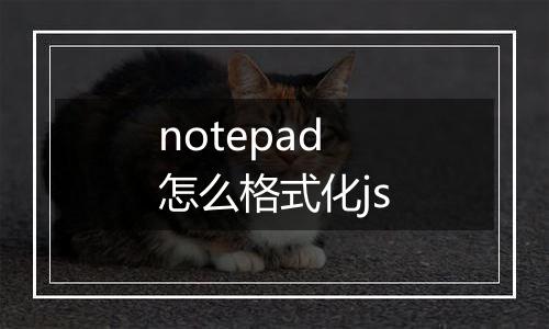 notepad怎么格式化js