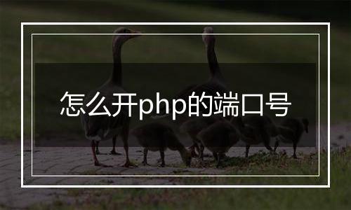 怎么开php的端口号