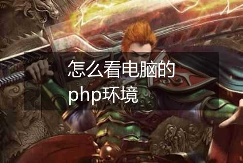 怎么看电脑的php环境
