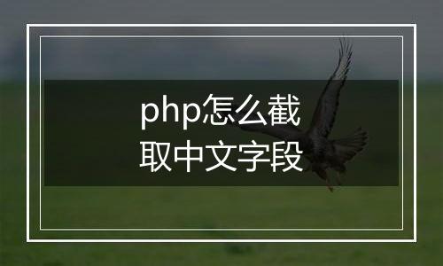 php怎么截取中文字段
