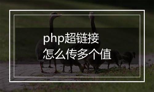 php超链接怎么传多个值