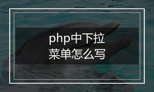 php中下拉菜单怎么写