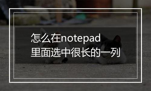 怎么在notepad里面选中很长的一列
