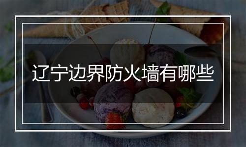 辽宁边界防火墙有哪些