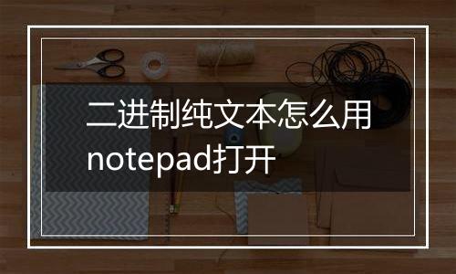 二进制纯文本怎么用notepad打开