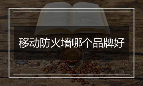 移动防火墙哪个品牌好