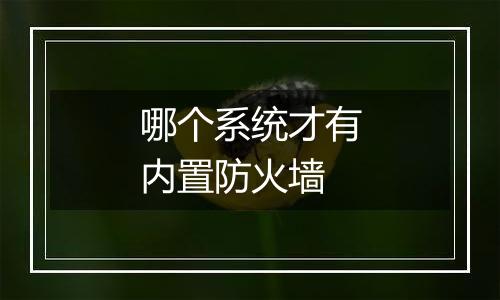 哪个系统才有内置防火墙