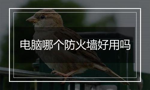电脑哪个防火墙好用吗