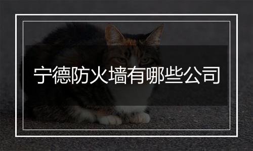 宁德防火墙有哪些公司