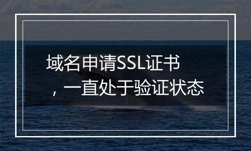 域名申请SSL证书,一直处于验证状态