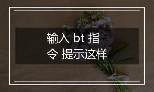 输入 bt 指令 提示这样