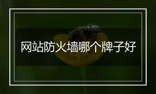 网站防火墙哪个牌子好