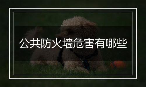 公共防火墙危害有哪些