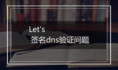 Let's 签名dns验证问题