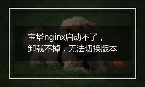 宝塔nginx启动不了,卸载不掉,无法切换版本
