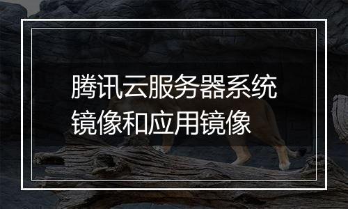 腾讯云服务器系统镜像和应用镜像