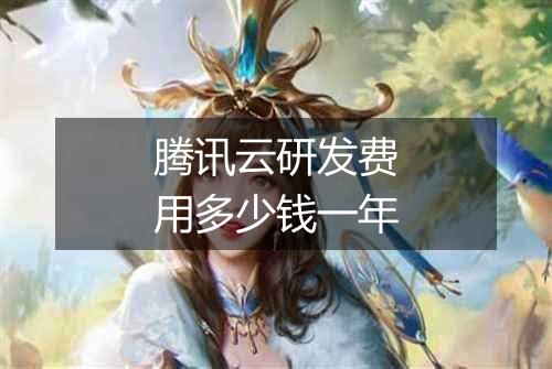 腾讯云研发费用多少钱一年