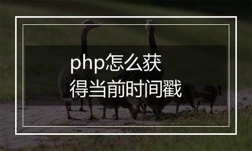 php怎么获得当前时间戳
