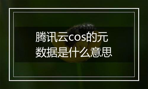 腾讯云cos的元数据是什么意思