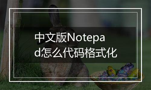 中文版Notepad怎么代码格式化