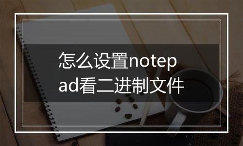 怎么设置notepad看二进制文件
