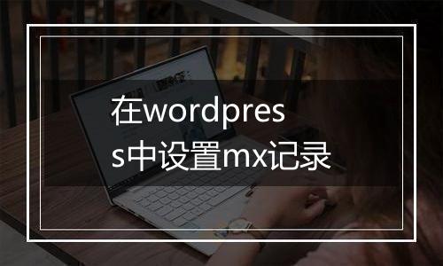 在wordpress中设置mx记录