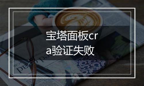 宝塔面板cra验证失败