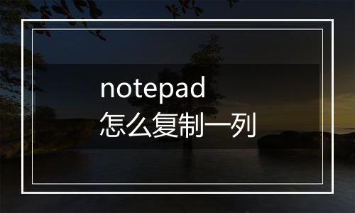 notepad怎么复制一列
