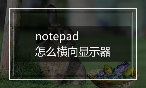notepad怎么横向显示器