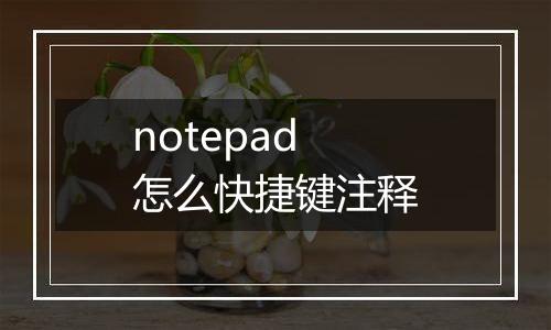 notepad怎么快捷键注释