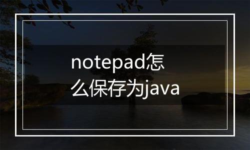 notepad怎么保存为java