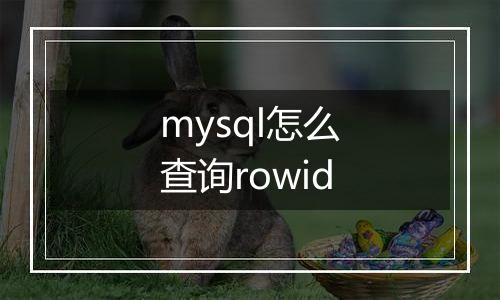 mysql怎么查询rowid