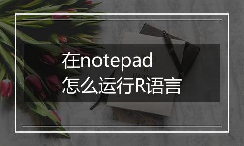 在notepad怎么运行R语言